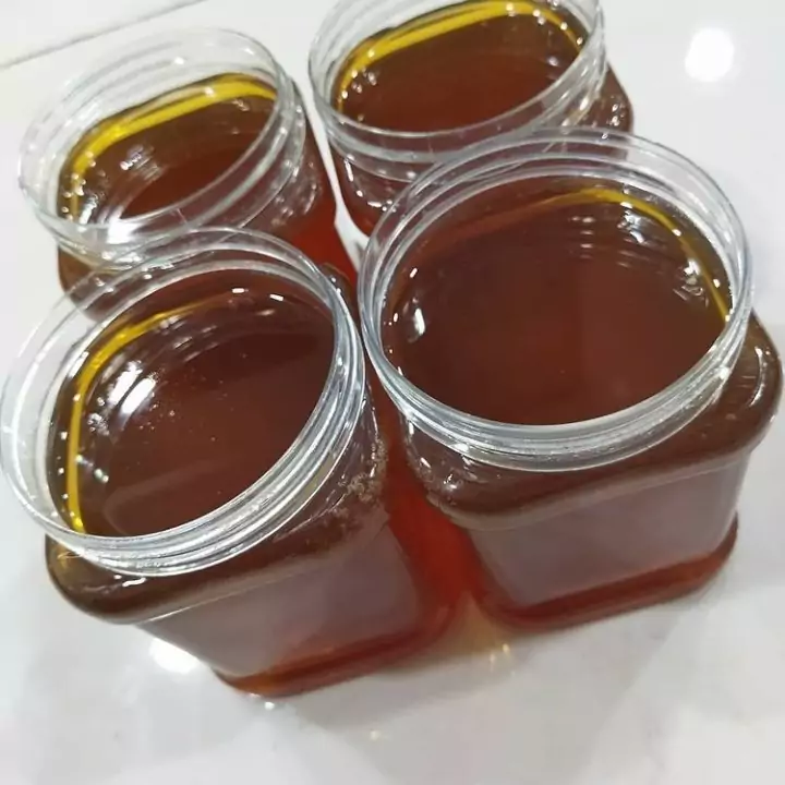 عسل ارگانیک کوهستانهای شمال خراسان (یک کیلویی)
